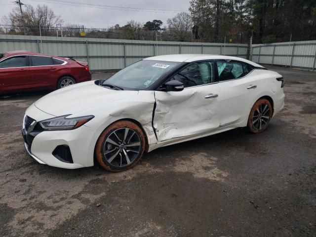 2023 Nissan Maxima SV