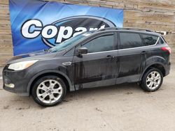 Salvage cars for sale at Blaine, MN auction: 2013 Ford Escape SE