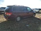 2008 Honda Odyssey EXL