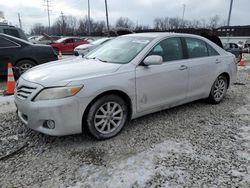 Toyota Camry salvage cars for sale: 2010 Toyota Camry Base