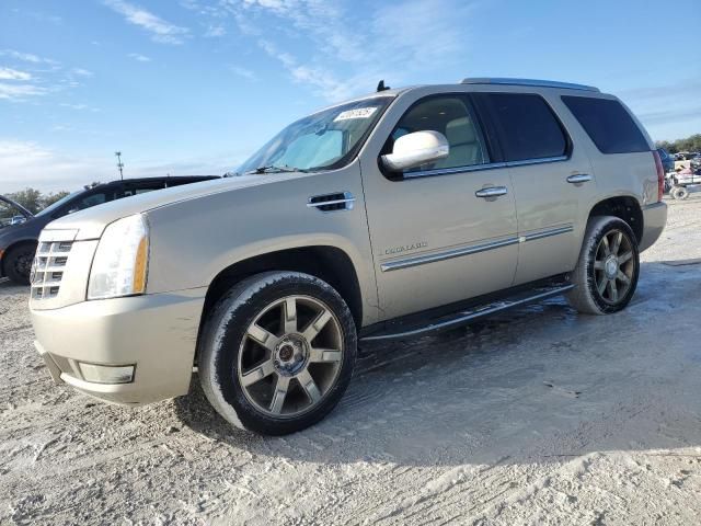 2007 Cadillac Escalade Luxury