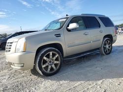 Cadillac Escalade salvage cars for sale: 2007 Cadillac Escalade Luxury