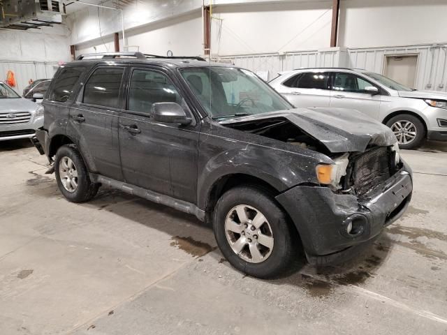 2010 Ford Escape Limited