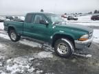 2004 Dodge Dakota SLT