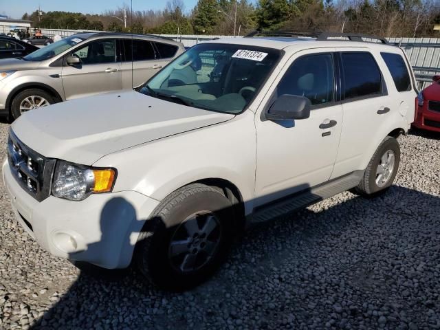 2009 Ford Escape XLT