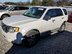 2009 Ford Escape XLT en venta en Memphis, TN