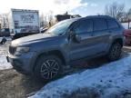 2021 Jeep Grand Cherokee Trailhawk