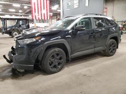 Salvage cars for sale at Blaine, MN auction: 2020 Toyota Rav4 Adventure