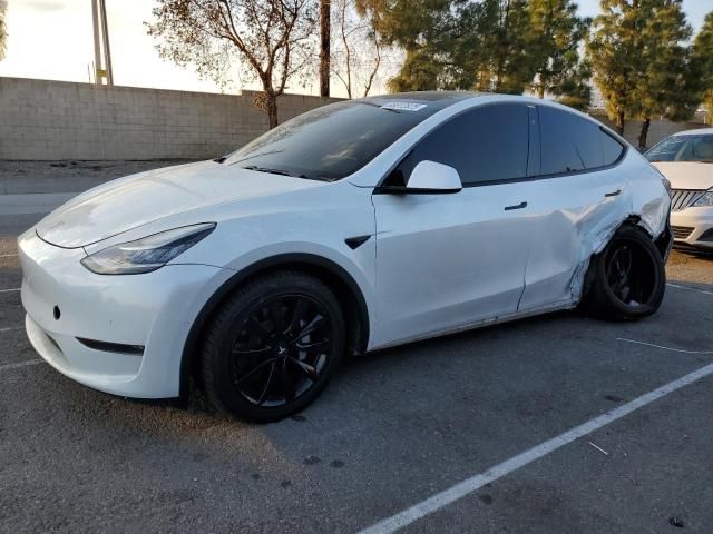 2020 Tesla Model Y