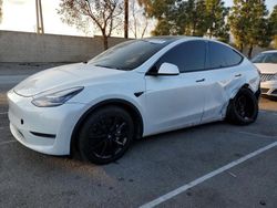 Tesla salvage cars for sale: 2020 Tesla Model Y