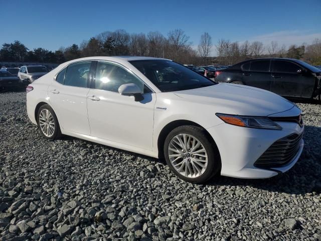 2019 Toyota Camry Hybrid