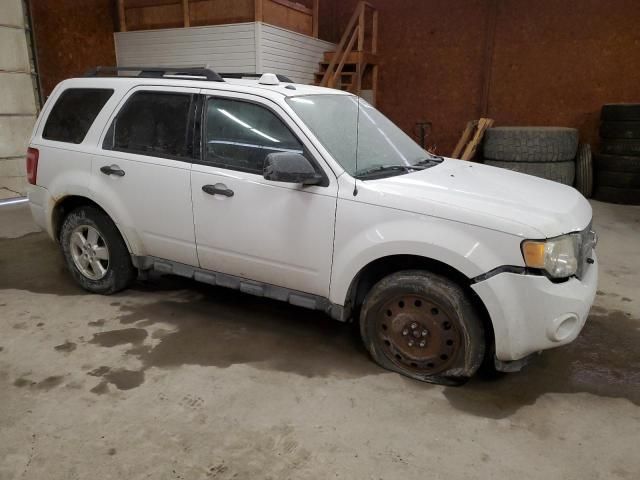 2012 Ford Escape XLT