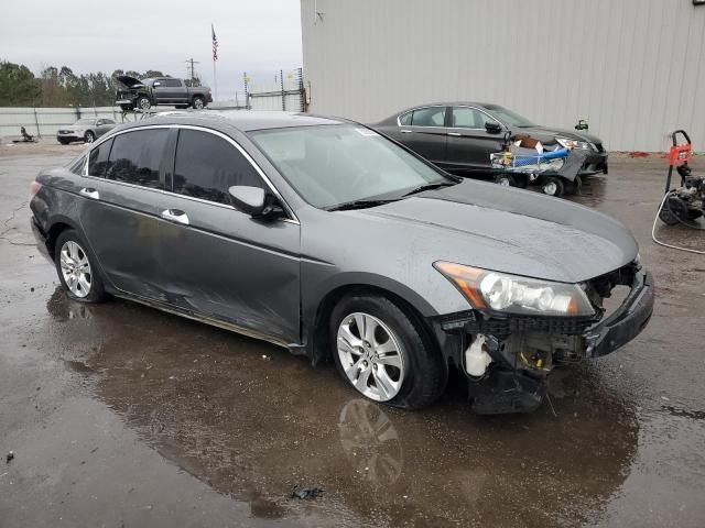 2010 Honda Accord LXP