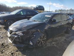 Nissan salvage cars for sale: 2017 Nissan Maxima 3.5S