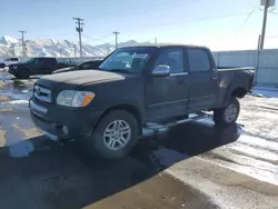 Toyota salvage cars for sale: 2006 Toyota Tundra Double Cab SR5