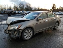 Honda salvage cars for sale: 2009 Honda Accord EXL