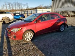 Salvage cars for sale at Spartanburg, SC auction: 2013 Toyota Corolla Base