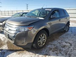 2013 Ford Edge SEL en venta en Elgin, IL