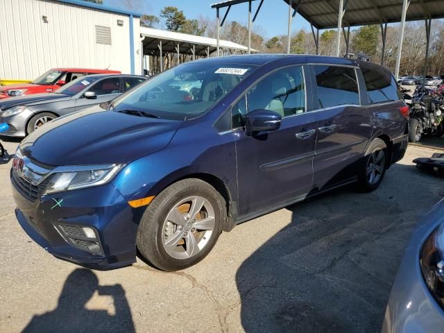 2019 Honda Odyssey EXL