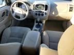 2007 Ford Escape XLT