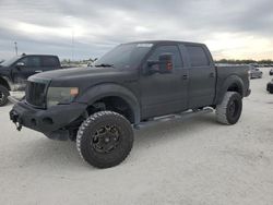 Salvage cars for sale at Arcadia, FL auction: 2013 Ford F150 Supercrew