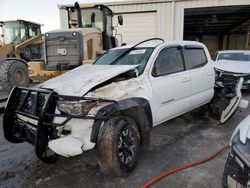 Salvage cars for sale from Copart Montgomery, AL: 2019 Toyota Tacoma Double Cab