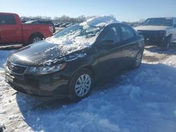 Salvage cars for sale at Kansas City, KS auction: 2013 KIA Forte EX