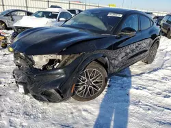 Salvage cars for sale at Cahokia Heights, IL auction: 2024 Ford Mustang MACH-E Premium