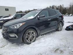 Salvage cars for sale at Cookstown, ON auction: 2017 Hyundai Santa FE Sport