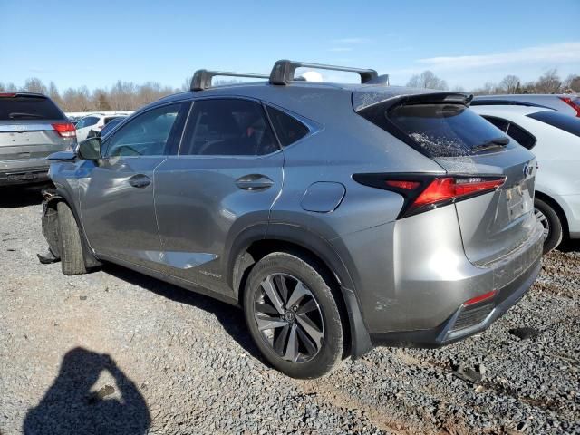 2020 Lexus NX 300H