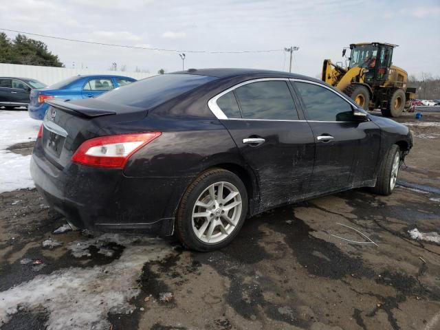 2010 Nissan Maxima S