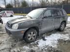 2006 Hyundai Santa FE GLS