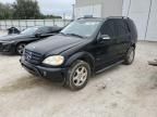 2002 Mercedes-Benz ML 320