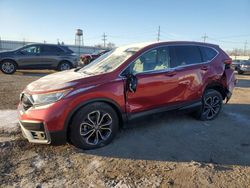 Salvage cars for sale at Chicago Heights, IL auction: 2020 Honda CR-V EXL