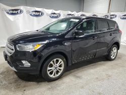 2019 Ford Escape SE en venta en Ham Lake, MN