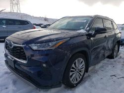 Salvage cars for sale at Littleton, CO auction: 2023 Toyota Highlander L