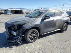 Salvage cars for sale at Sun Valley, CA auction: 2024 Lexus NX 350 Premium