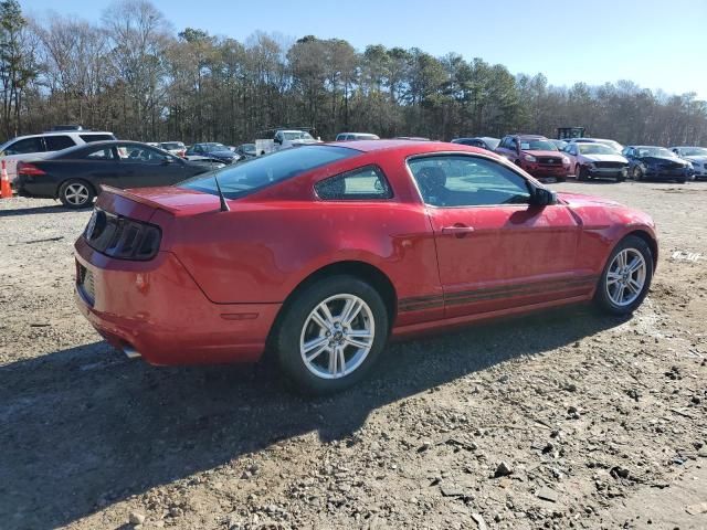 2013 Ford Mustang