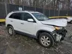 2012 KIA Sorento Base