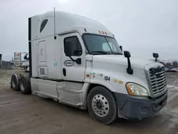 Freightliner salvage cars for sale: 2013 Freightliner Cascadia 125