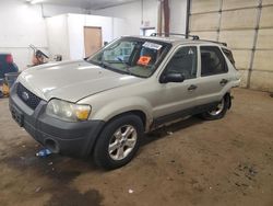 Ford Vehiculos salvage en venta: 2005 Ford Escape XLT