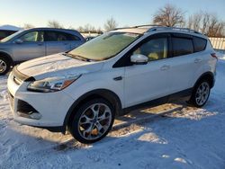 Clean Title Cars for sale at auction: 2013 Ford Escape Titanium