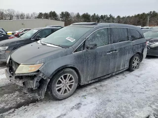 2011 Honda Odyssey EXL