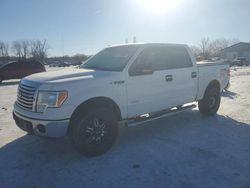 Ford f-150 salvage cars for sale: 2012 Ford F150 Supercrew