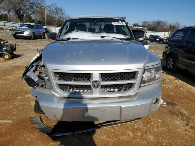 2010 Dodge Dakota SXT