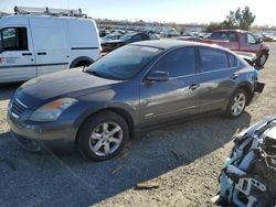 Nissan Vehiculos salvage en venta: 2008 Nissan Altima Hybrid