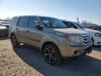 2011 Honda Pilot LX