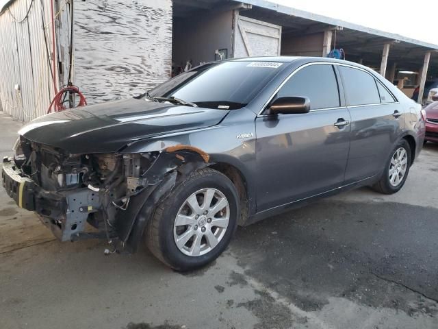 2009 Toyota Camry Hybrid