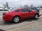 2013 Ford Mustang