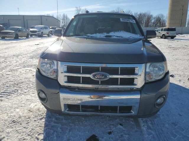 2011 Ford Escape Limited